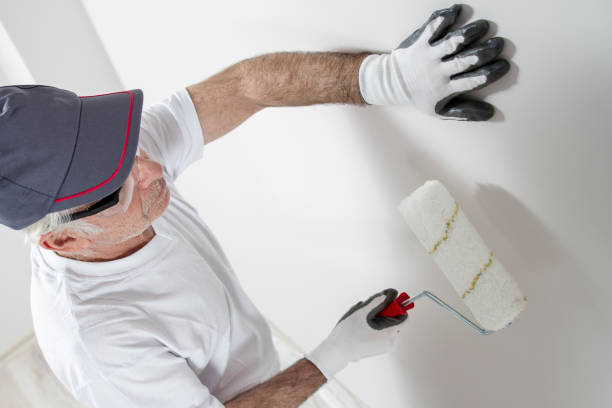 Best Mold Remediation for Rental Properties  in Chesilhurst, NJ